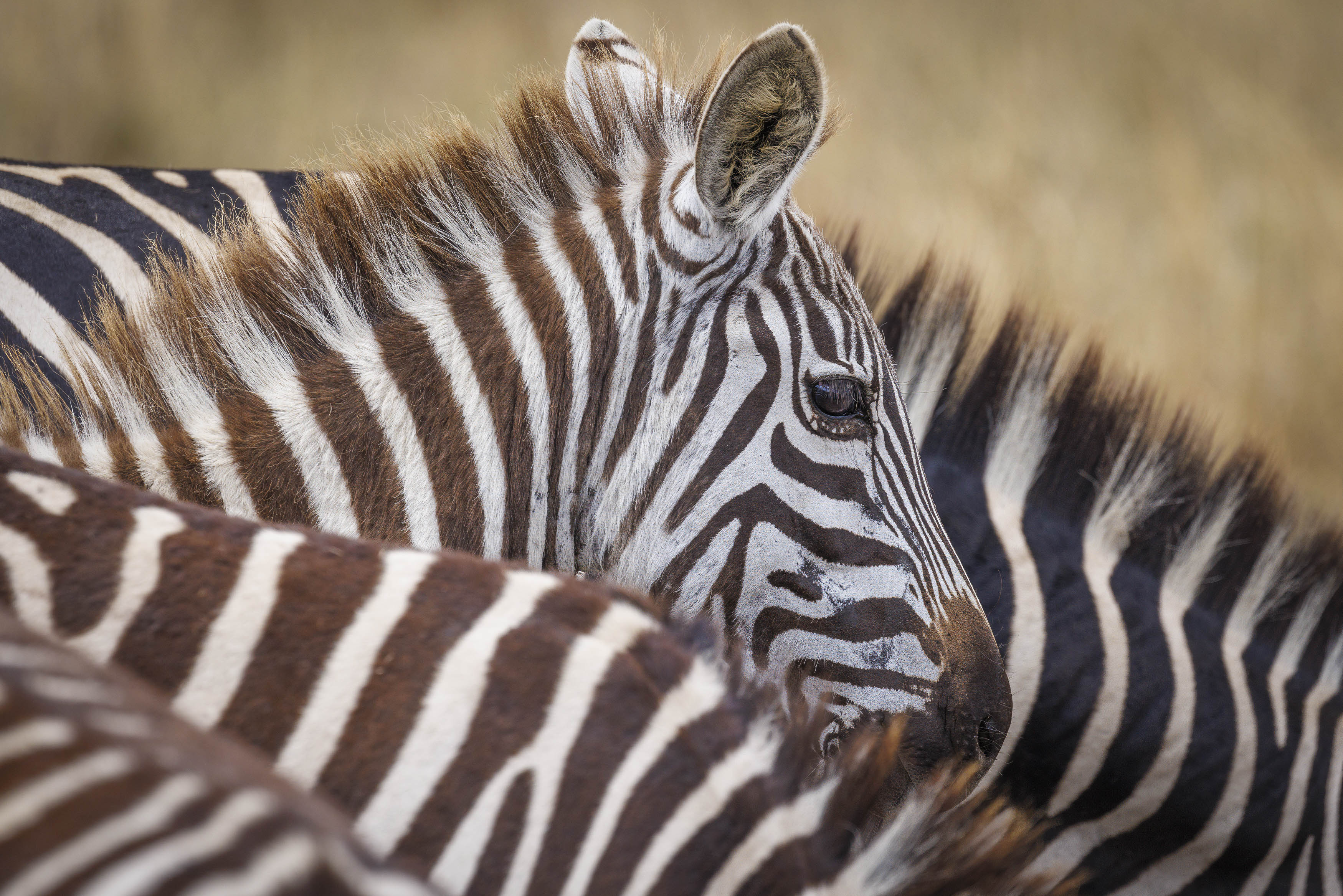 November 11, 2022-134133-Edit.jpg